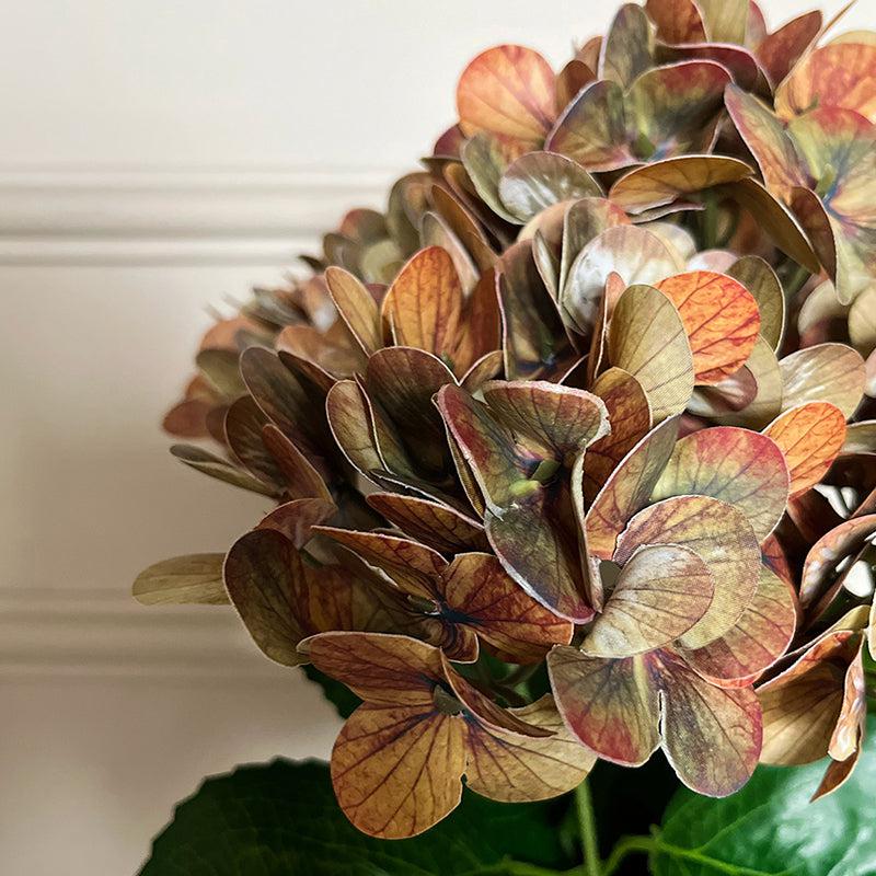 Faux Everlasting Hydrangea Flower Stick - Brown media 3