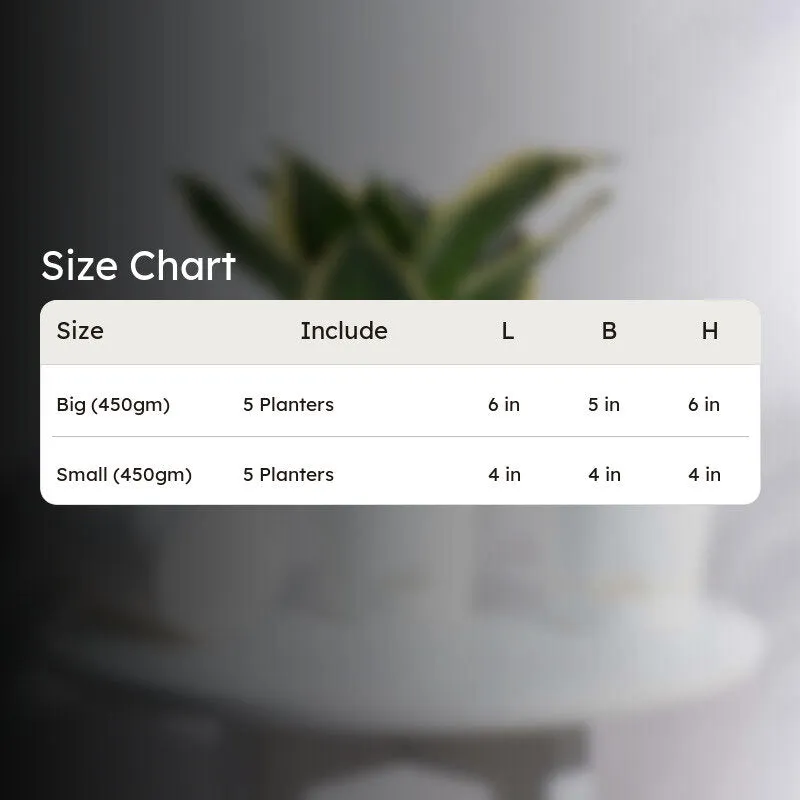 Size chart graphic for the white planter set
