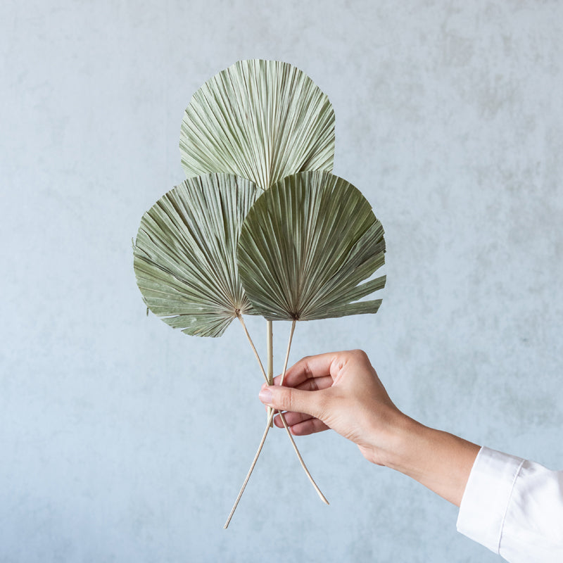 Sheiraa handmade Palm Leaf Stick - Set Of Five media 5
