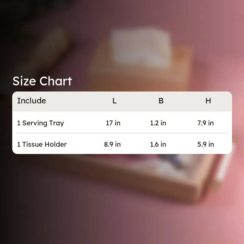 Luxe Tray with Tissue Holder - Two Piece Set media 10