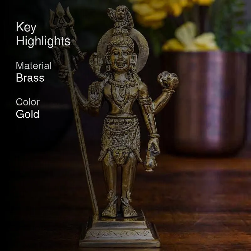 Shiv Tandav Idol media 2