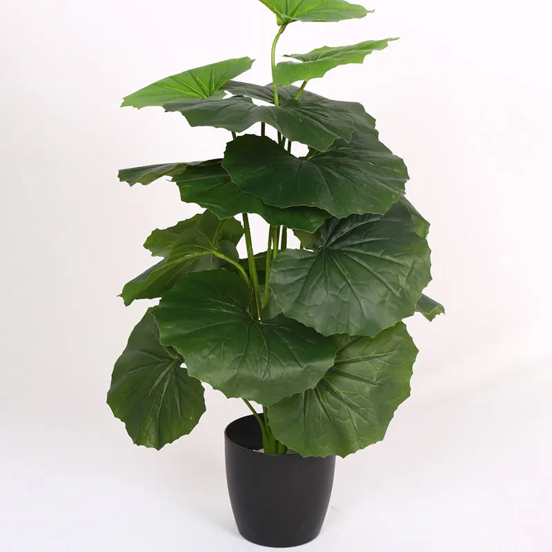Verdiva III Artificial Plant With Black Plastic Pot - 2 Feet media 4