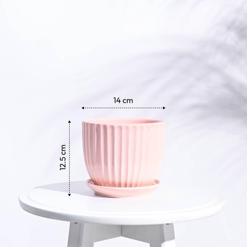 Elise Ceramic Planter - White media 7