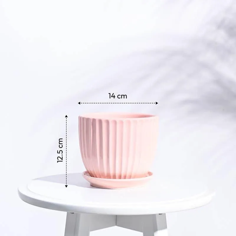 Elise Ceramic Planter - White media 7