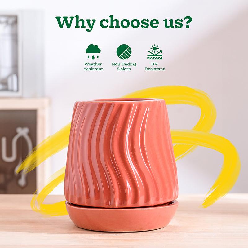 Ugaoo Waves & Roots Ceramic Planter - Coral media 6