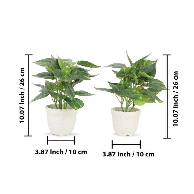 Neonix Syngonium Artificial Plant With Plastic Pot - 0.8 Feet media 7