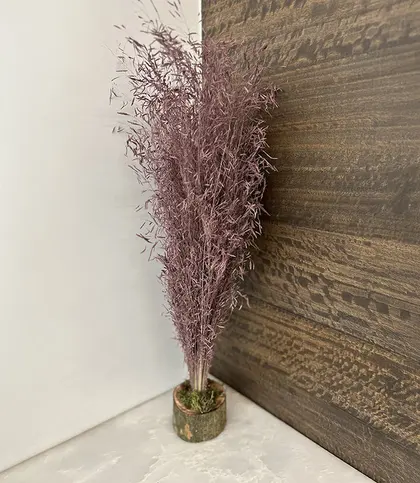 Dried Flowers & Leaves