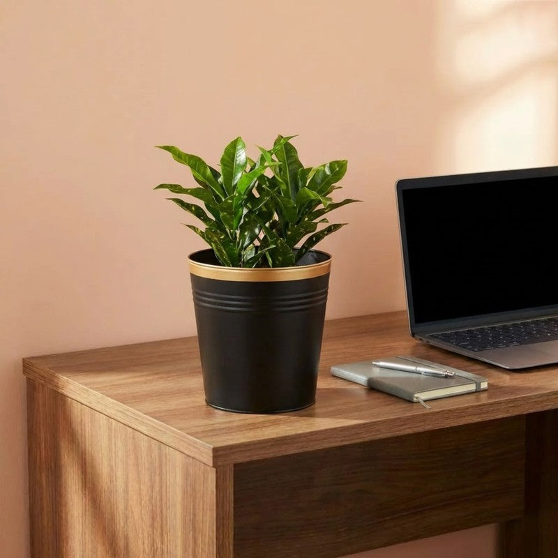 Leafora Iron Planter - Black media 3