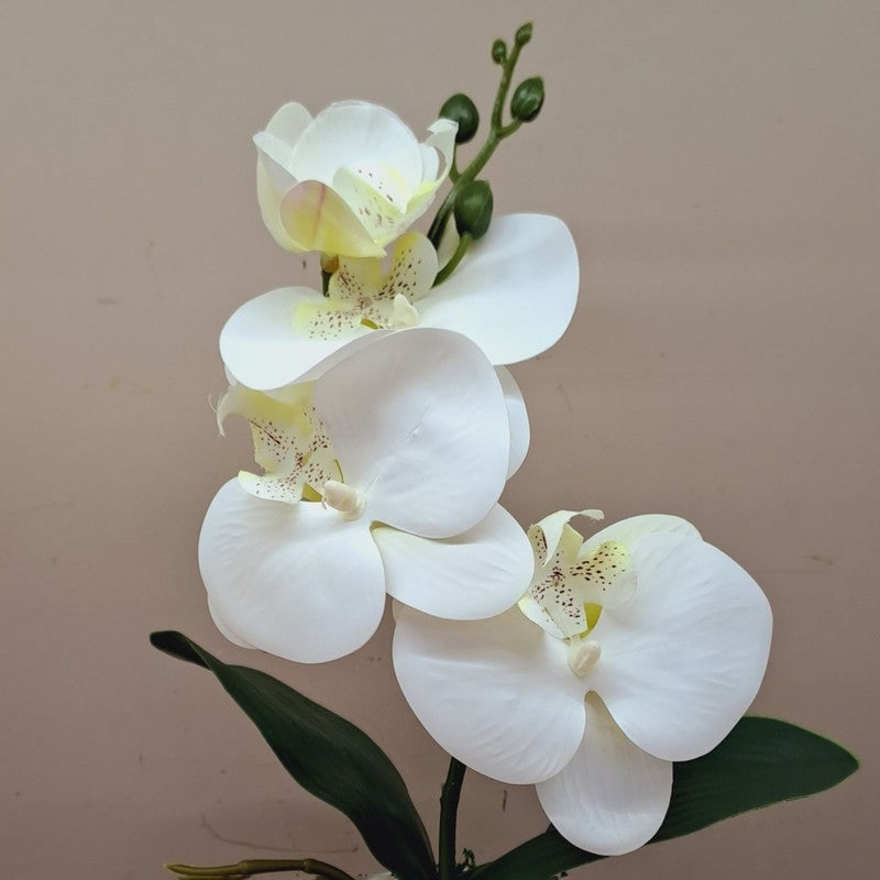 Premium Artificial Orchid Flower Bunch - White media 4