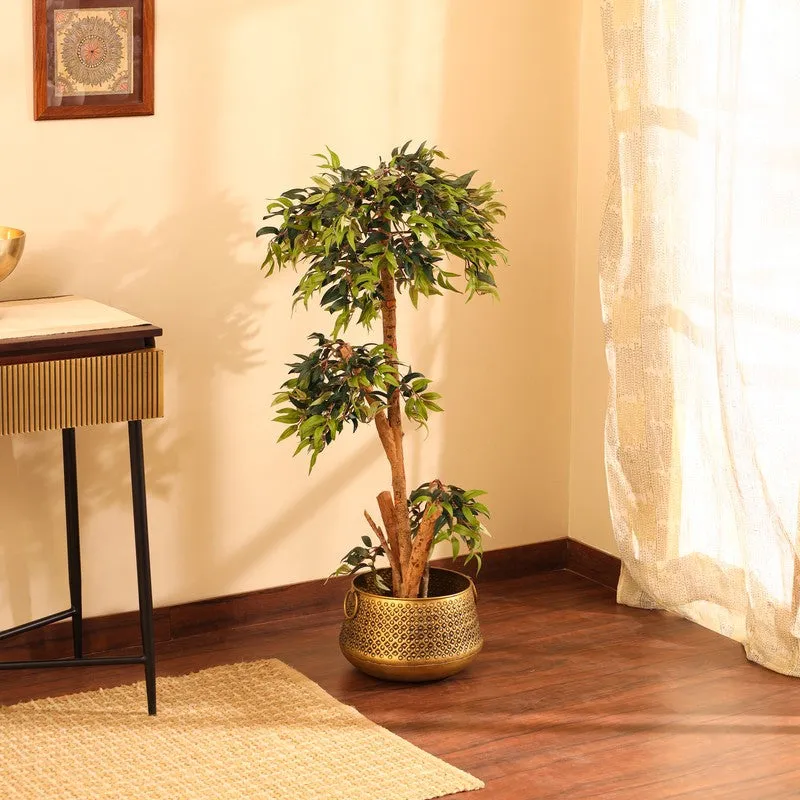 Artificial Green Ficus Bonsai Plant With Black Plastic Pot - 4 ft media 4