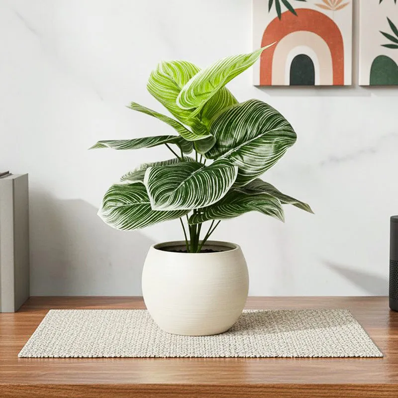 Verdiva II Artificial Plant With Black Plastic Pot - 1.8 Feet media 1