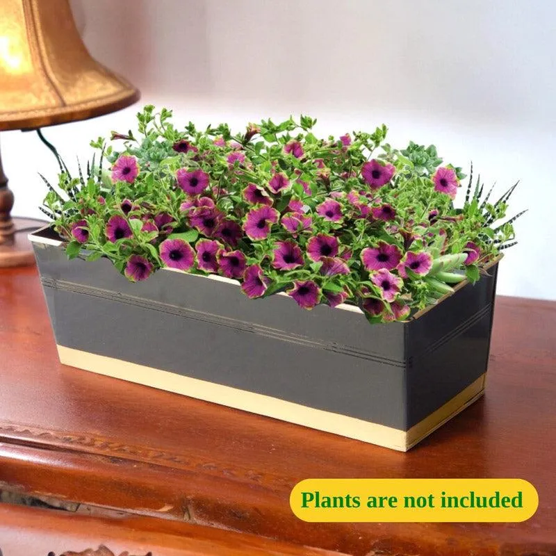 Zutoia Black Planter - Black media 5
