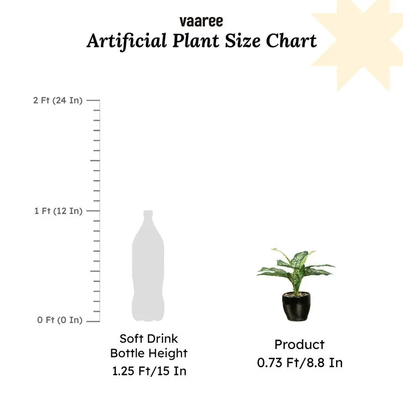 Artificial Yellow Dieffenbachia Bonsai Plant With Ceramic Pot - 0.7 Feet media 7