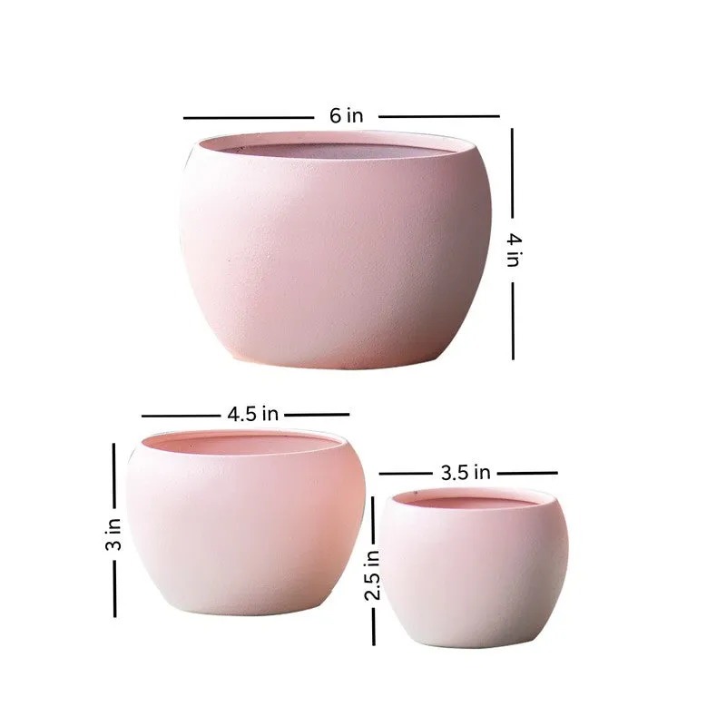 LeafNest Mild Steel Planter (Pink) - Set Of Three media 9