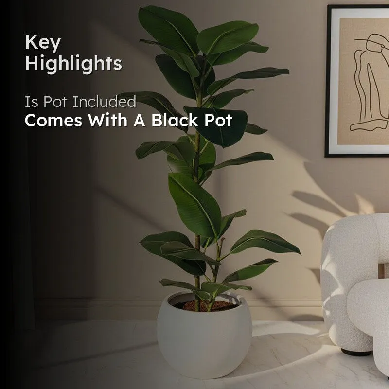 Faux Lush Rubber Plant With Black Plastic Pot - 4 Feet media 2