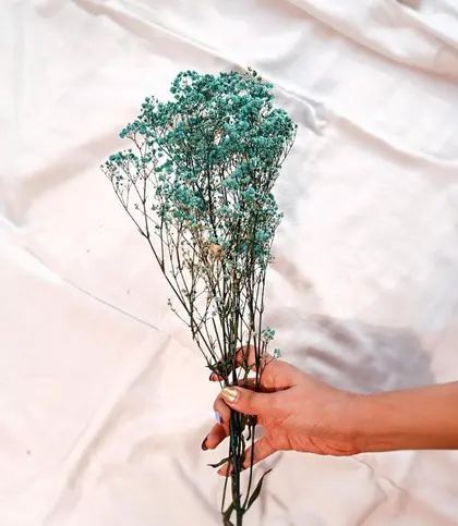 Dried Flowers & Leaves