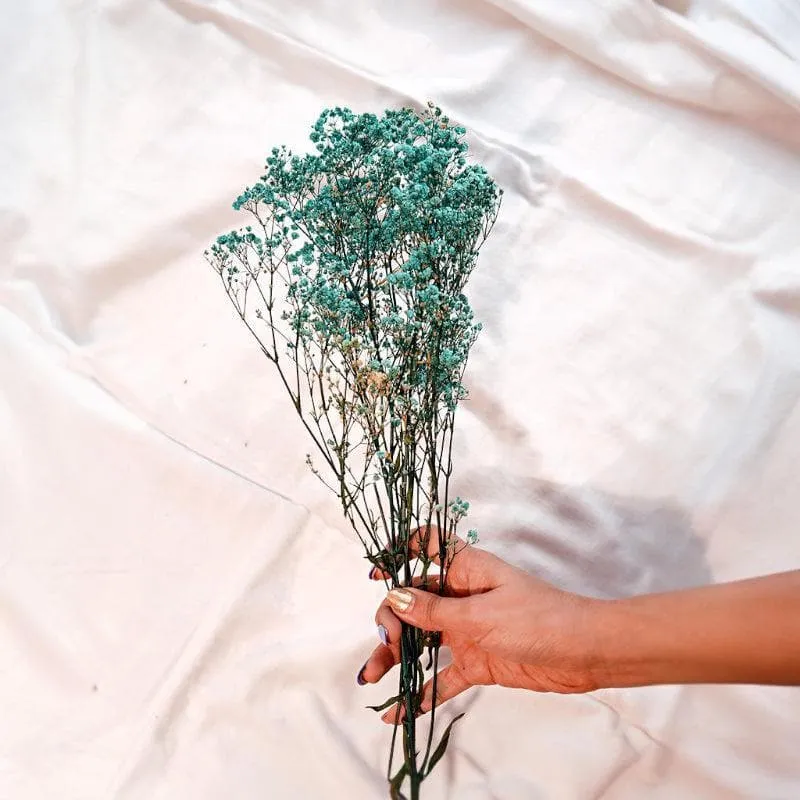 Naturally Dried Baby Breath Gypsophila Stems (Turquoise) - Set Of Five media 1