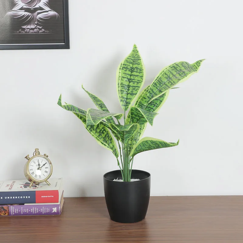 Edena Artificial Snake Plant With Black Plastic Pot - 1.6 Feet media 2