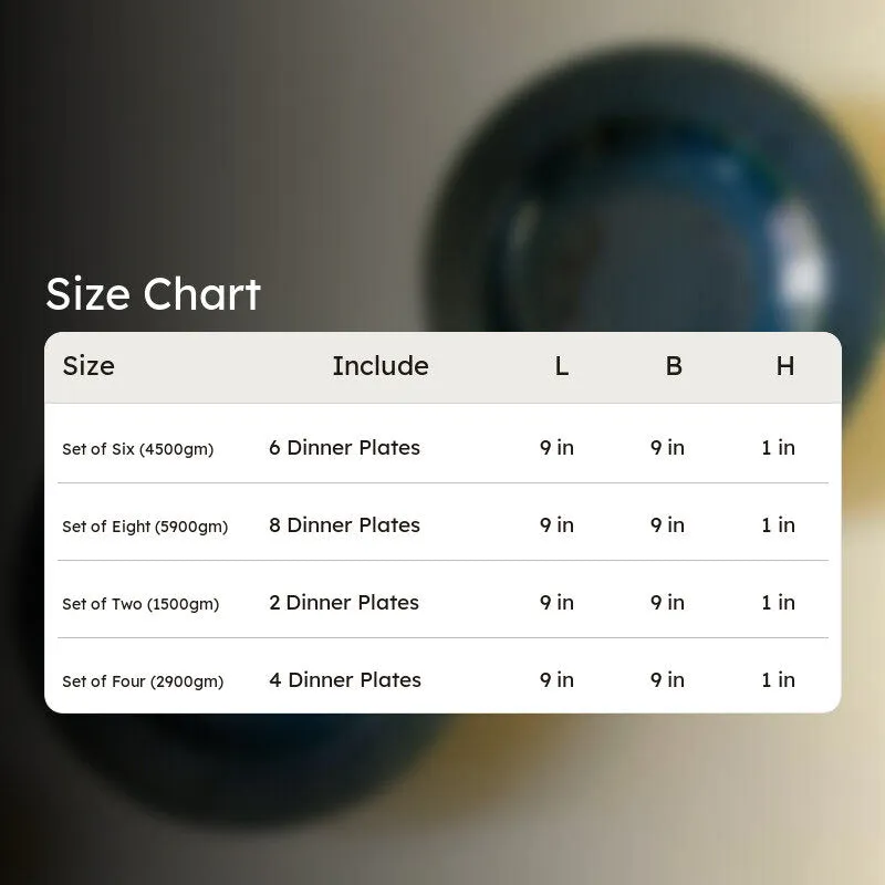 Raisel Pasta Plate - Saphire Blue media 8