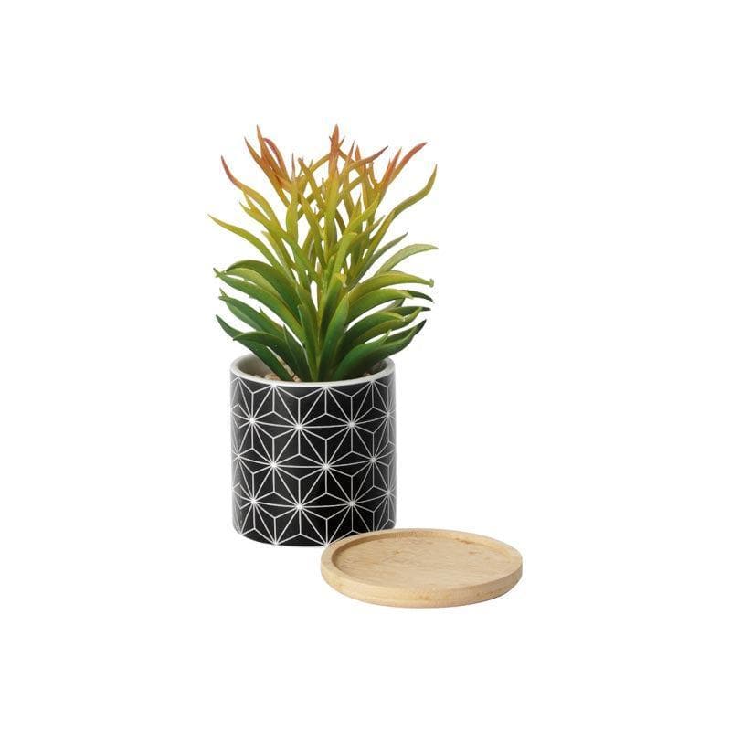 Faux Euphorbia In Minimalist Pot - 18.5 cms media 3