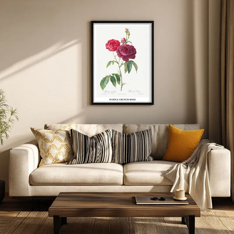 Purple French Rose Joseph Redout Archival Canvas Wall Painting - Black Frame media 3