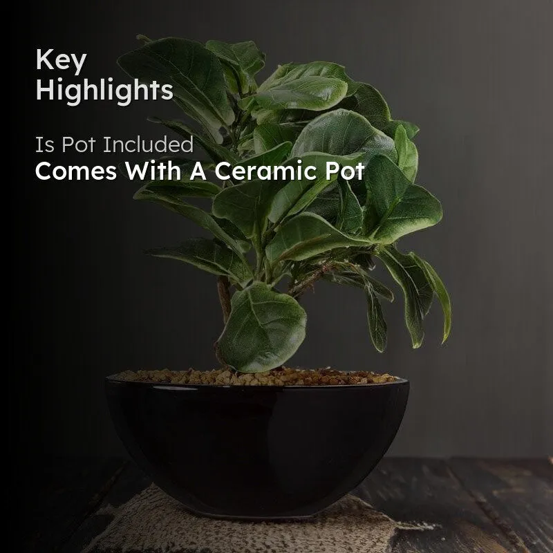 Faux Fiddle Bonsai In Bowl Pot - 29 cms media 2