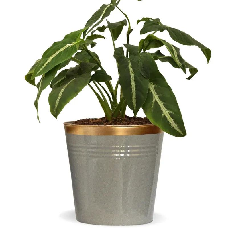 Anira Grey Planter media 7