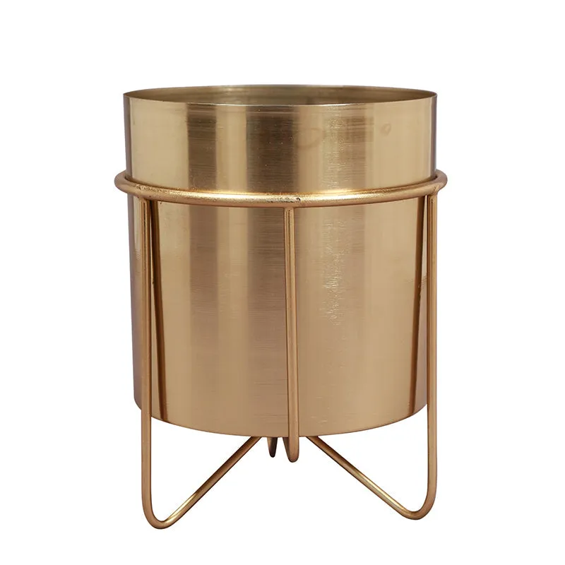 Metal Root Iron Planter media 4