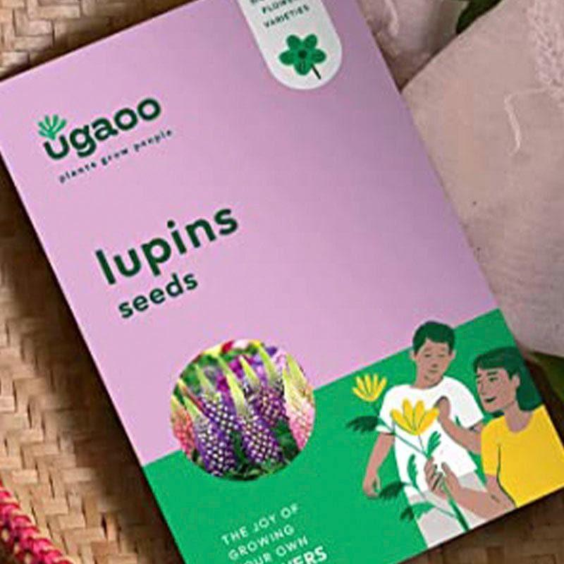 Ugaoo Lupins Multicolor Flower Seeds media 3