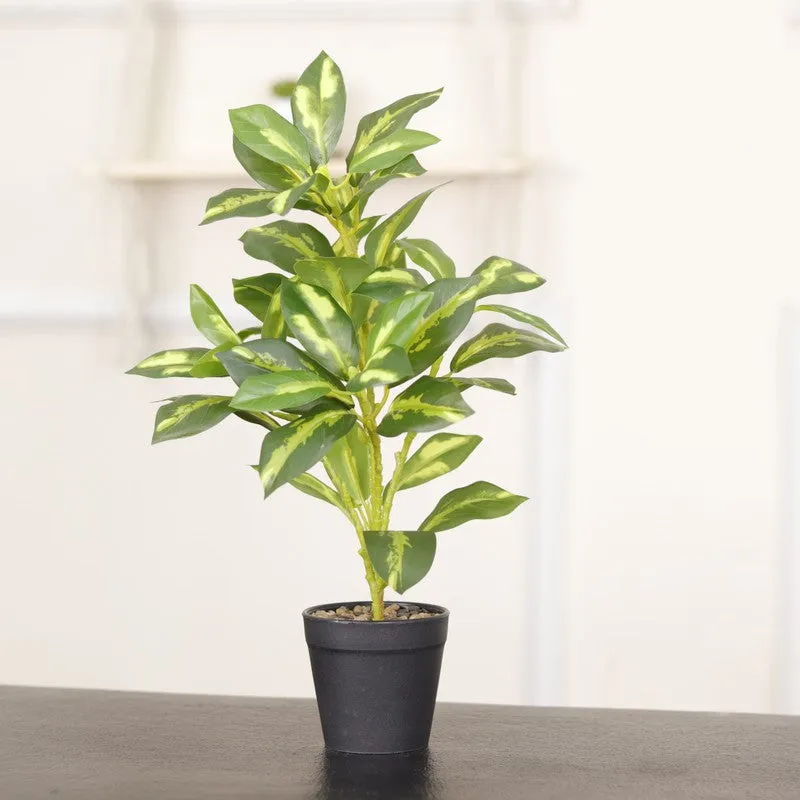 Artificial Croton Leaf Plant With Black Fiber Pot (White) - 1.3 Feet media 5
