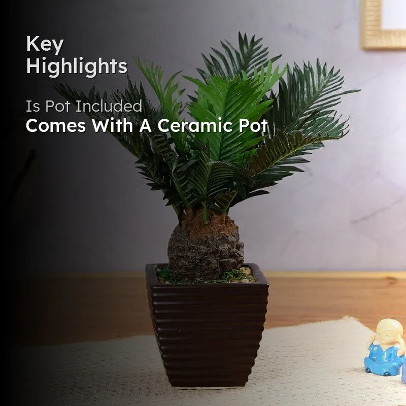 Faux Cycas Bonsai In Ceramic Pot - 33 cms media 2