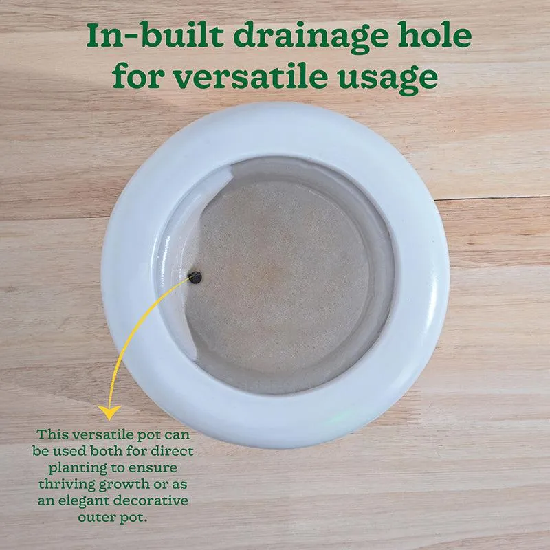 Ugaoo Ceramicurve Two Layer Ceramic Planter - White media 7