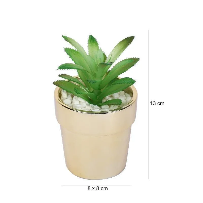 Faux Crassula In Ceramic Pot - 13.5 cms media 4