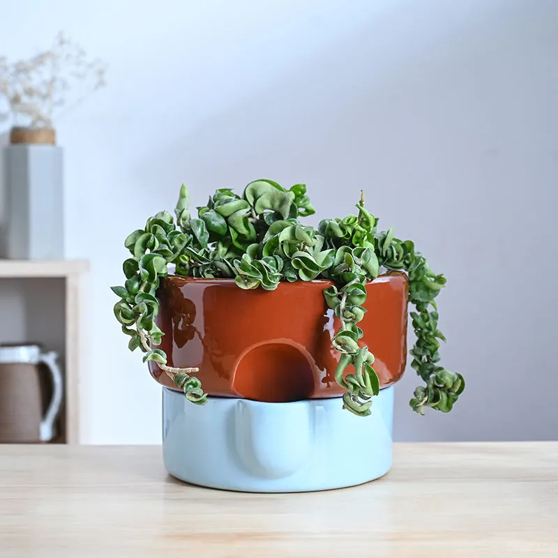 Ugaoo Lady Leafington Ceramic Planter - Terracotta & Blue media 2
