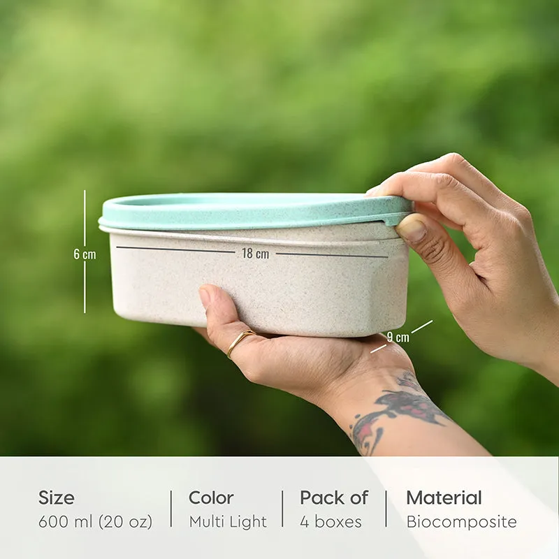 Terra Tote Tiffin Box (Multicolor Light) - Set Of Four media 7