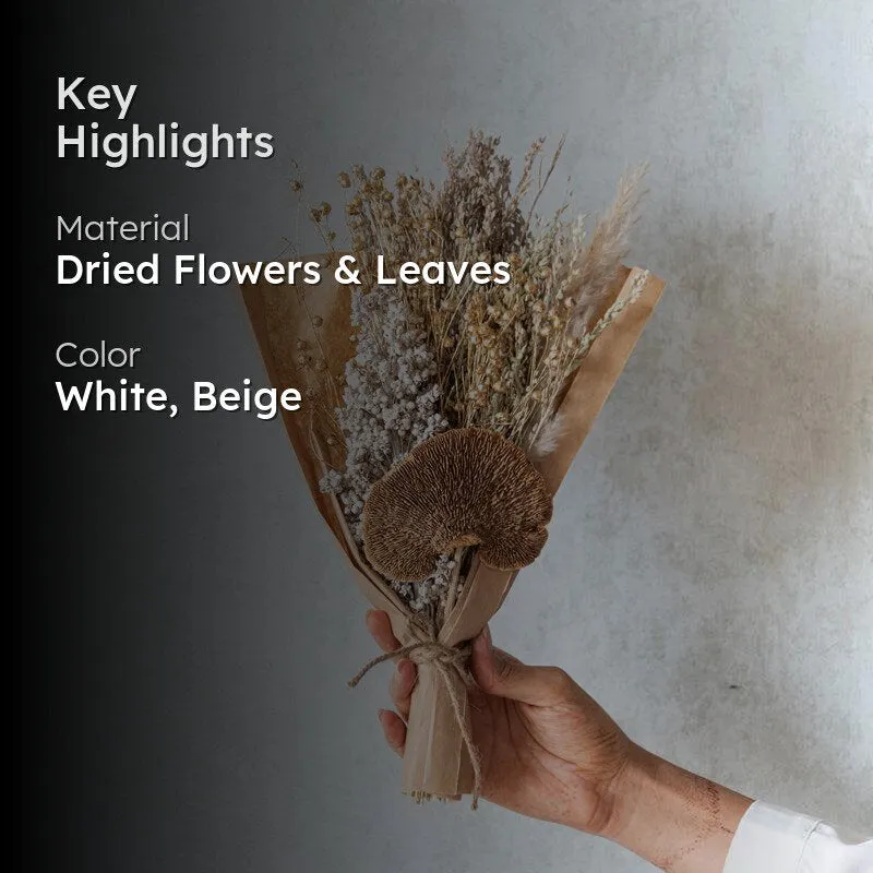 Neona Latte Dried Flower Bunch - Beige media 2