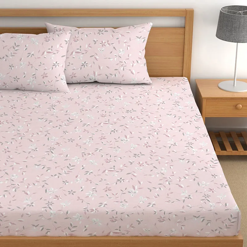 Donna Fitted Microfiber Microfiber Bedsheet - 150 GSM media 4