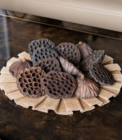 Dried Flowers & Leaves
