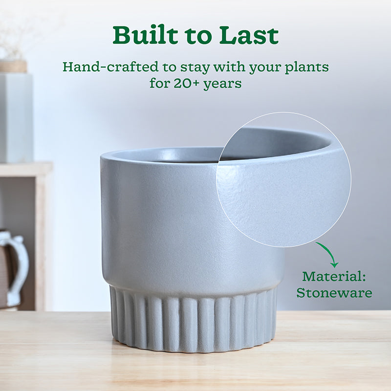 Ugaoo Sleepy Sprout Round Ceramic Planter - Grey media 3