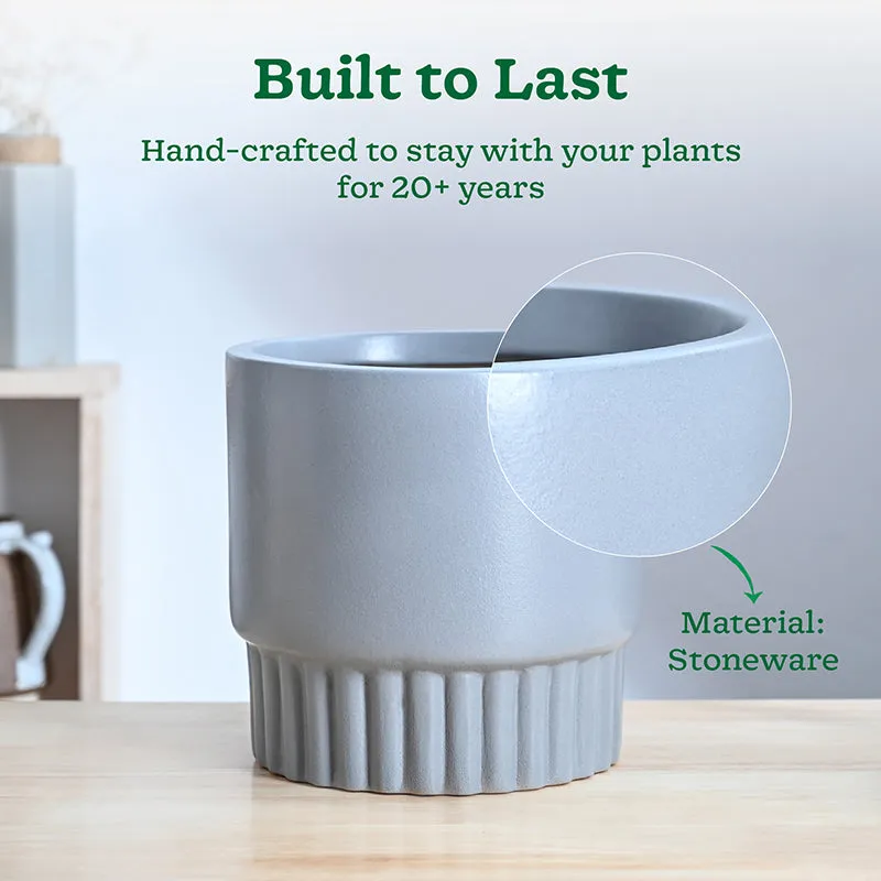 Ugaoo Sleepy Sprout Round Ceramic Planter - Grey media 3