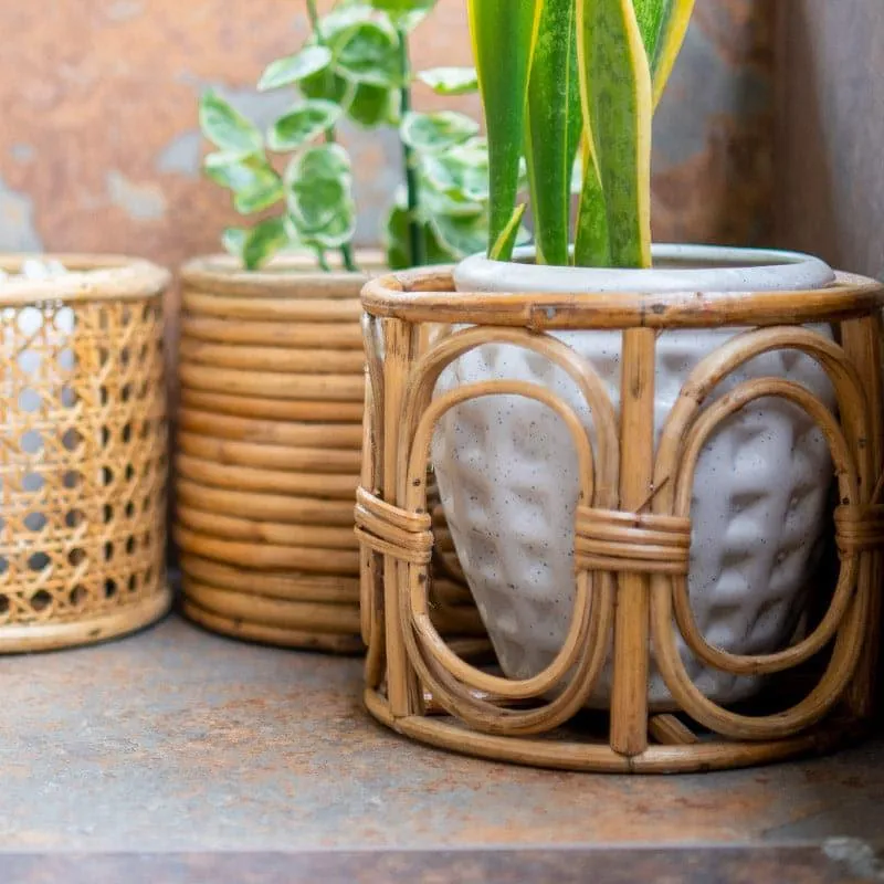 Sawyer Natural Fibre Planter media 4