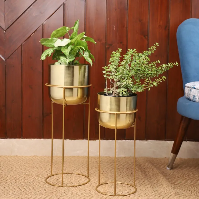 Milara Allure Planter (Gold) - Set Of Two media 6
