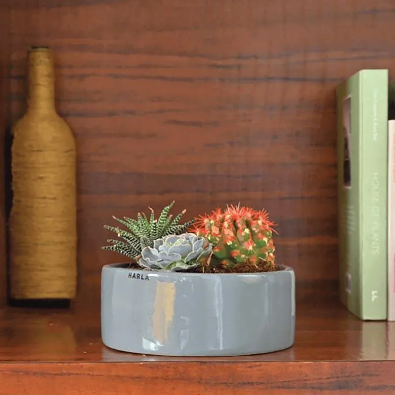 Ugaoo Lilac Stories 6022 Grey Ceramic Pot media 3
