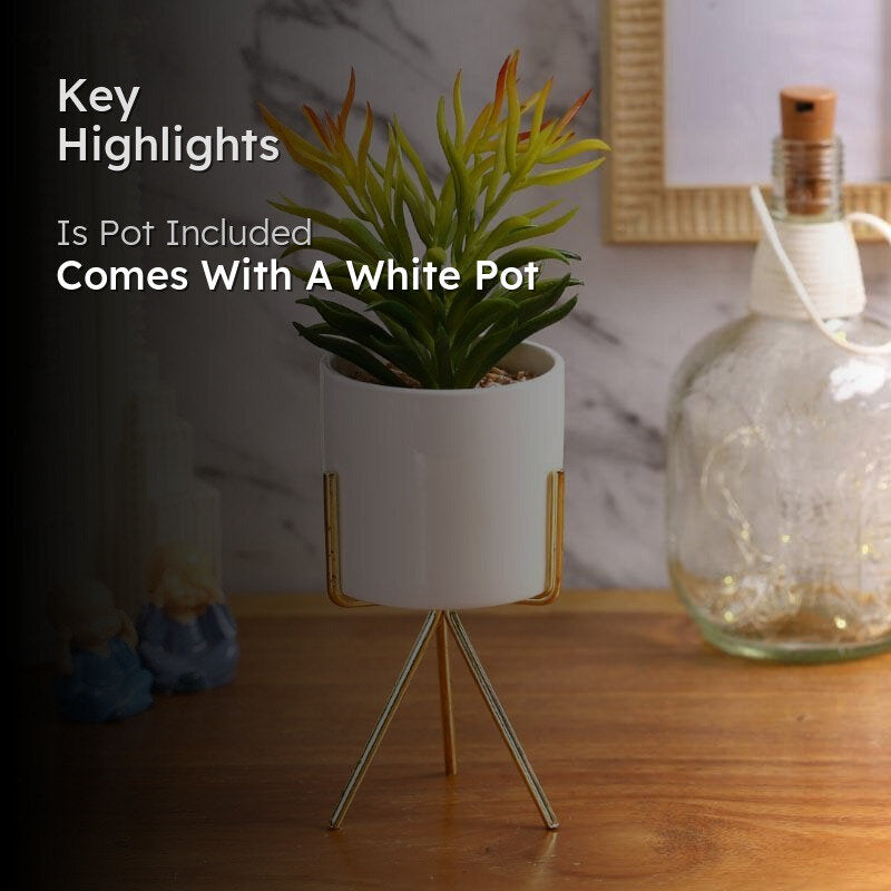 Faux Euphorbia In White Pot With Tripod - 25.5 cms media 2