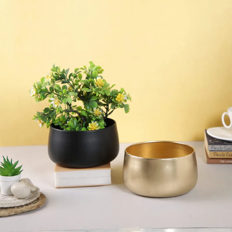 Velcoma Planter media 3