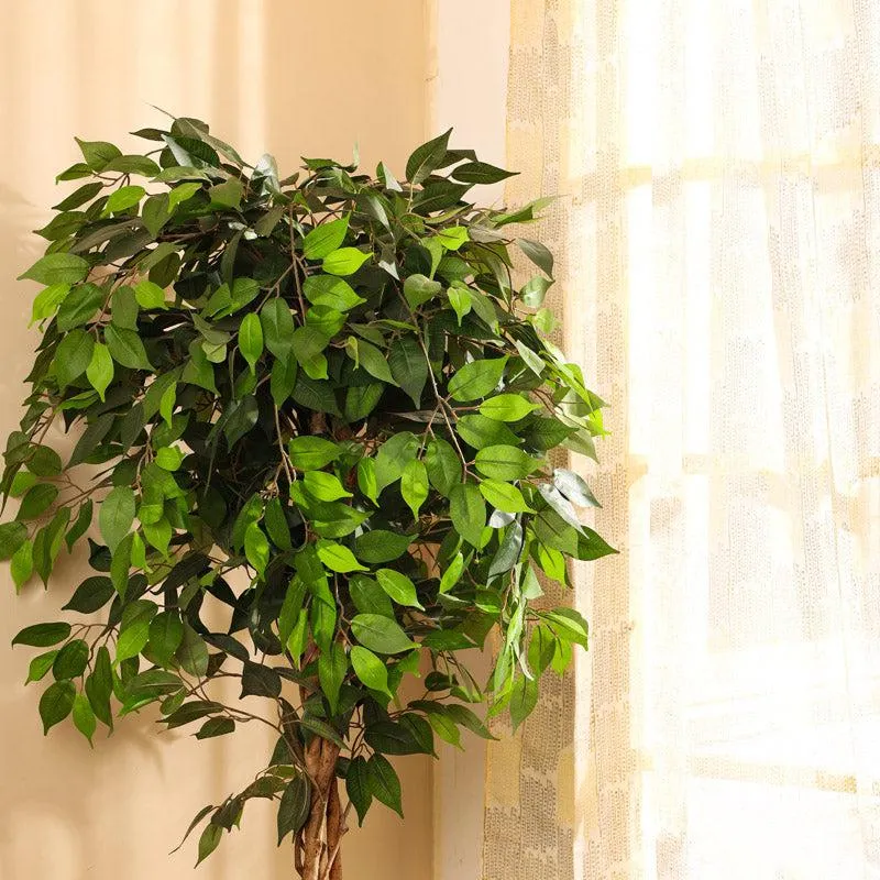 Artificial Realistic Ficus Plant With Black Plastic Pot - 5.9 Feet media 4