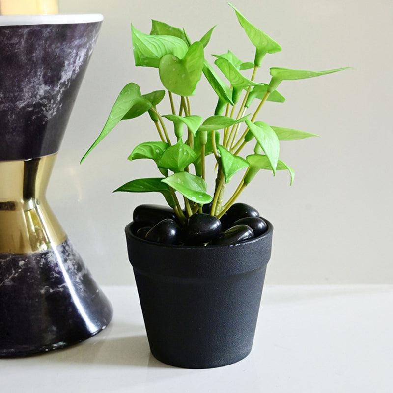 Moniva Artificial Pothos/Money Plant With Black Plastic Pot (Light Green) - 19 cm media 6