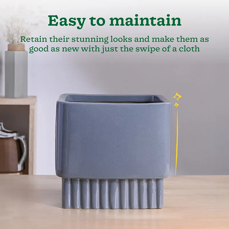 Ugaoo Sleepy Sprout Square Ceramic Planter - Dark Grey media 5