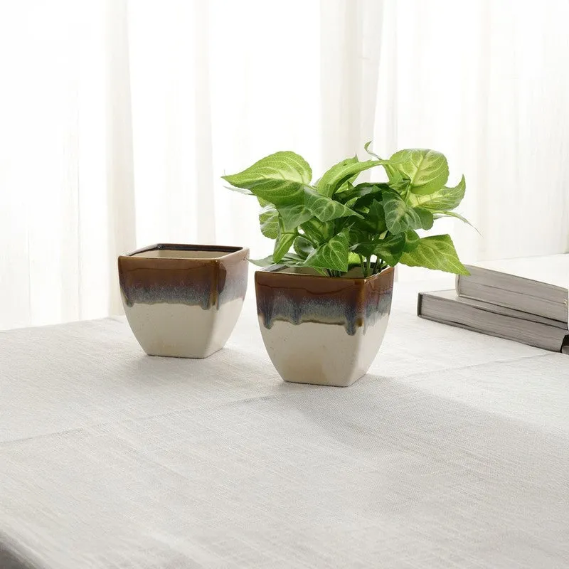 PureLuxe Pots & Planters (Brown,white) - Set Of Two media 3