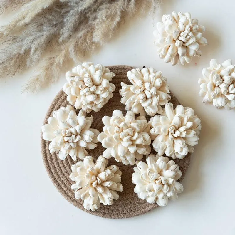 Creamy-white sola wood flowers arranged on a round woven mat
